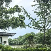 899苏