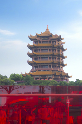 香菜锅锅的图片