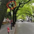 墨色流年znJ