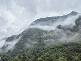 Hi🍃为你而痛🍂的图片