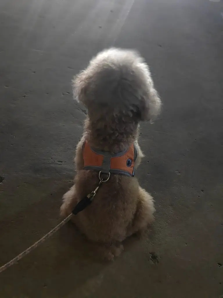 爱笑🌺好运常伴左右的主播照片