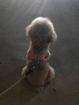 爱笑🌺好运常伴左右的图片