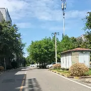 紫风（9）