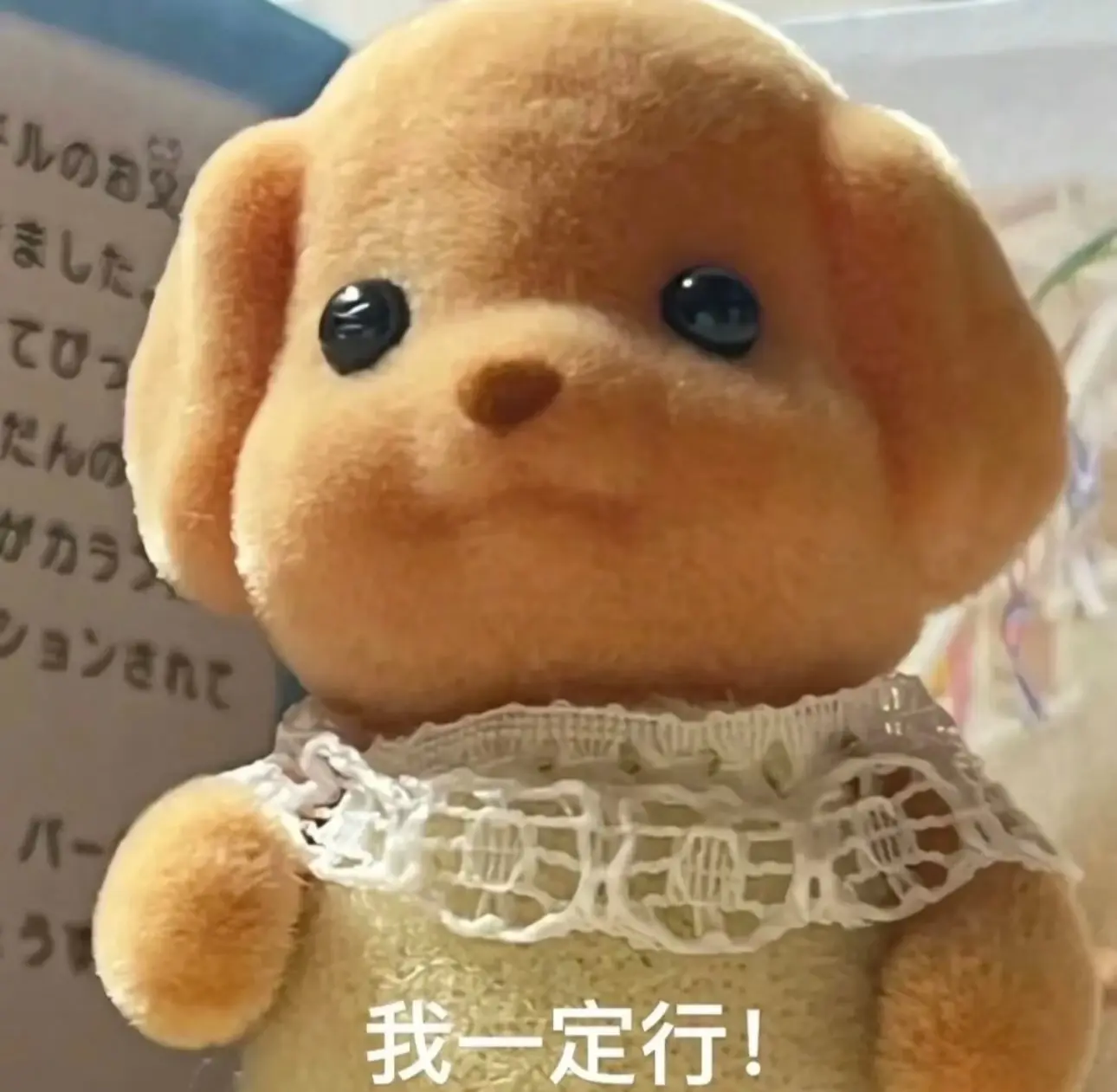 娜扎🧸休主播图片