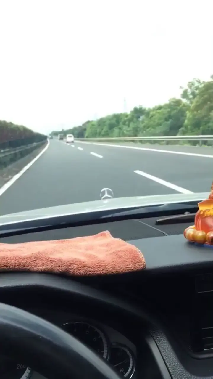 找个美女陪伴
