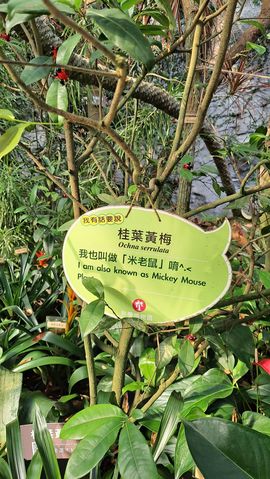 一只楚楚熊☆的图片