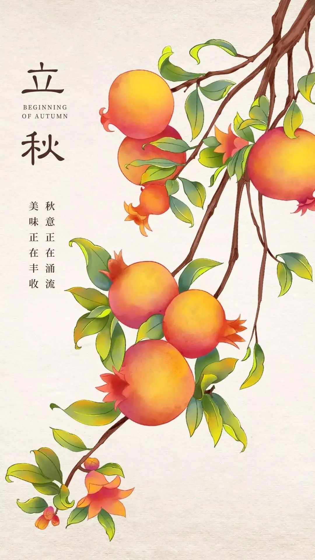 小芳🌸努力版主播图片