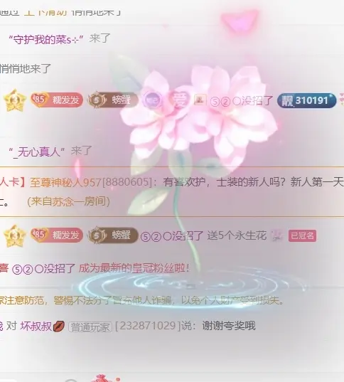 萌新糯米团团主播图片