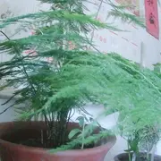 转大爷，，的用户头像