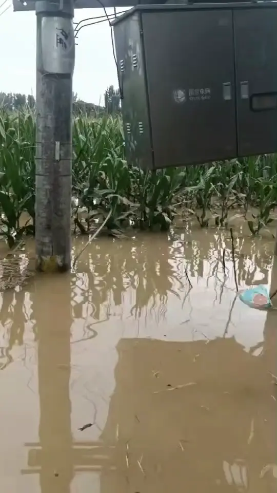 老家的河水都进村了