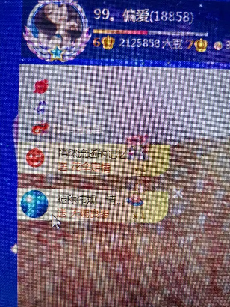 99。偏爱一直在主播图片
