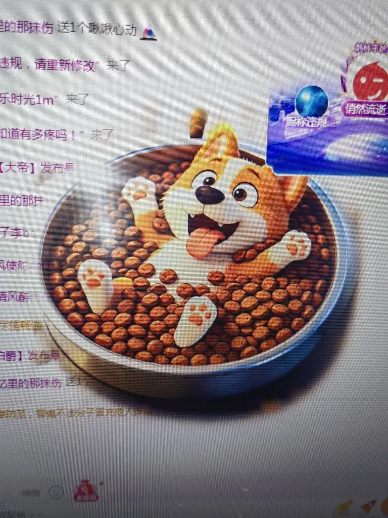 99。偏爱一直在主播图片