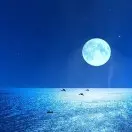 “再想想”
