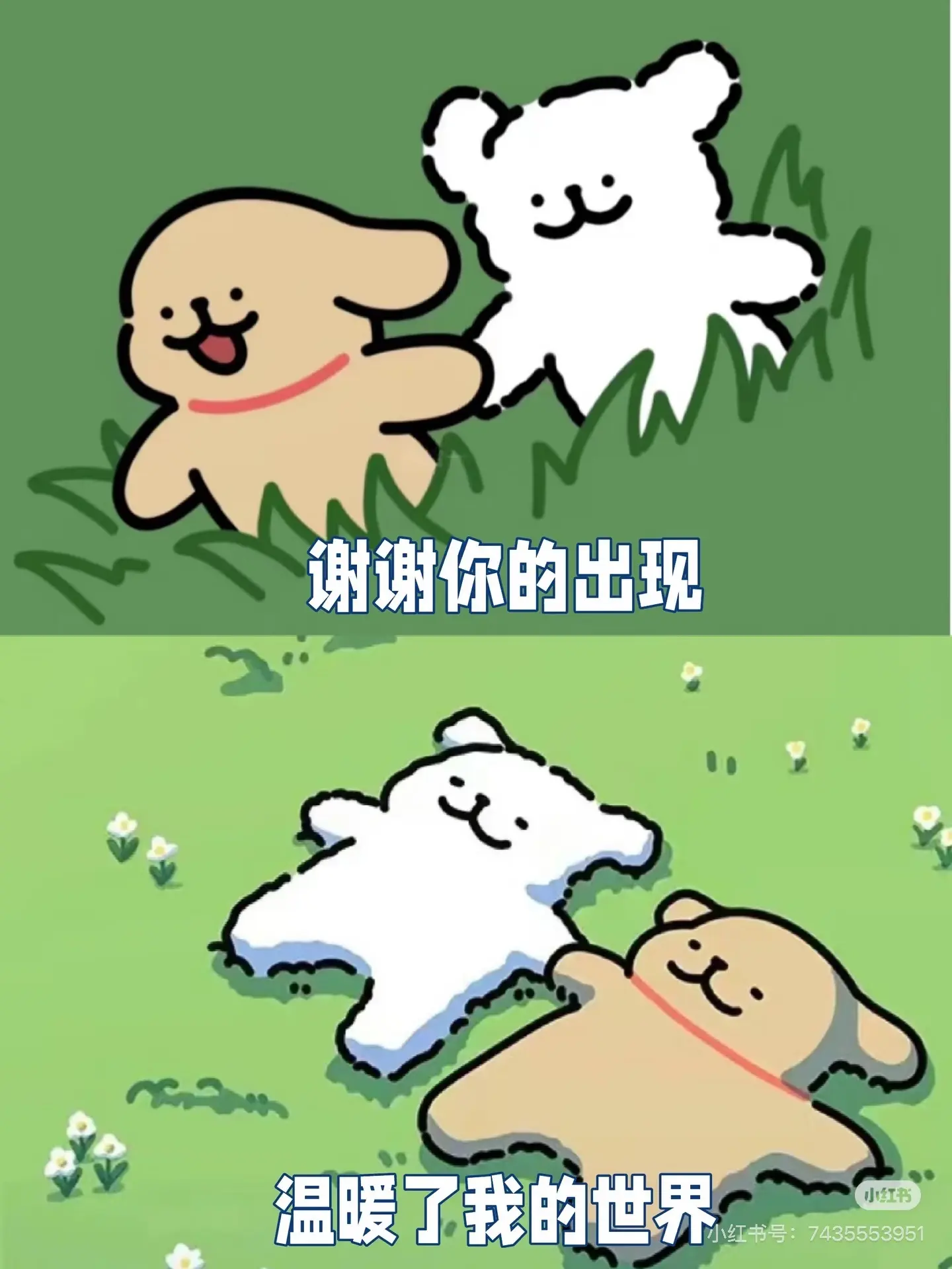 开朗！主播图片