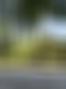 有事休息几天开播放卡主播图片