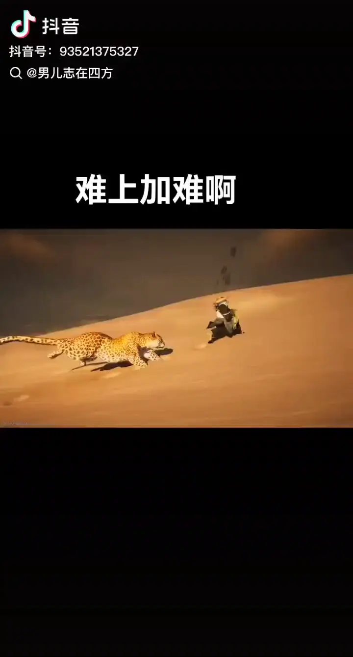 日入千万金的国产动画