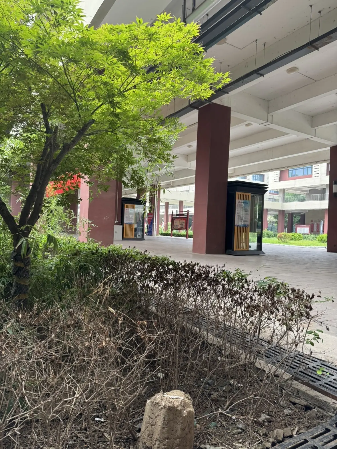 海苔。。的主播照片