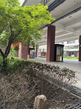 海苔。。主播照片