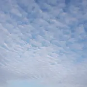 萬物歸元的用户头像