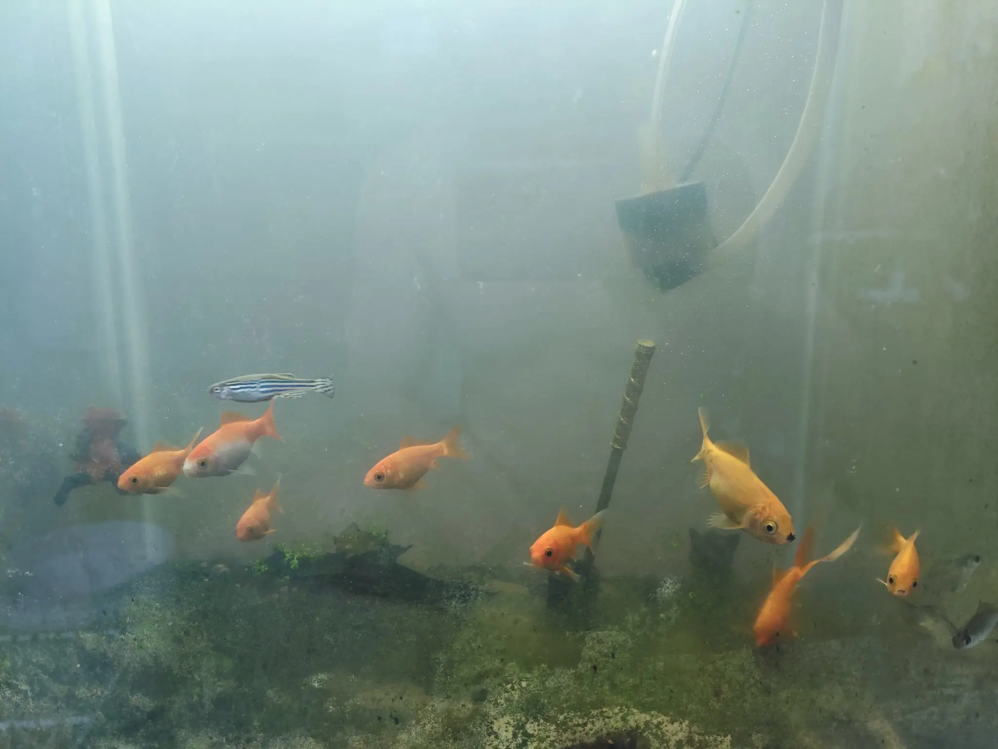 厄洛斯💗7978主播图片