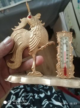 杀止若的图片