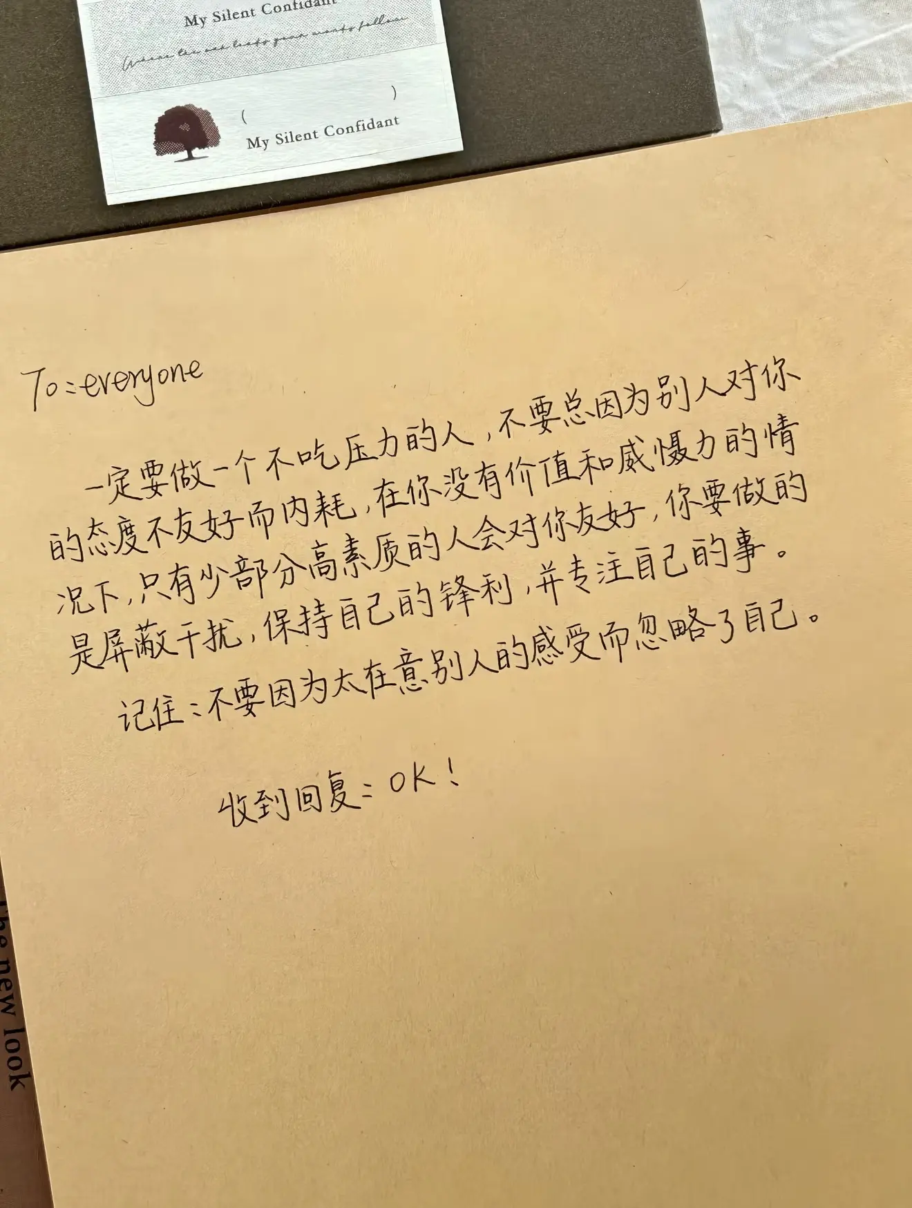 袁舟舟舟主播图片