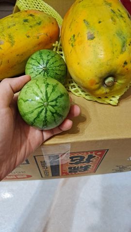 一只楚楚熊☆的图片