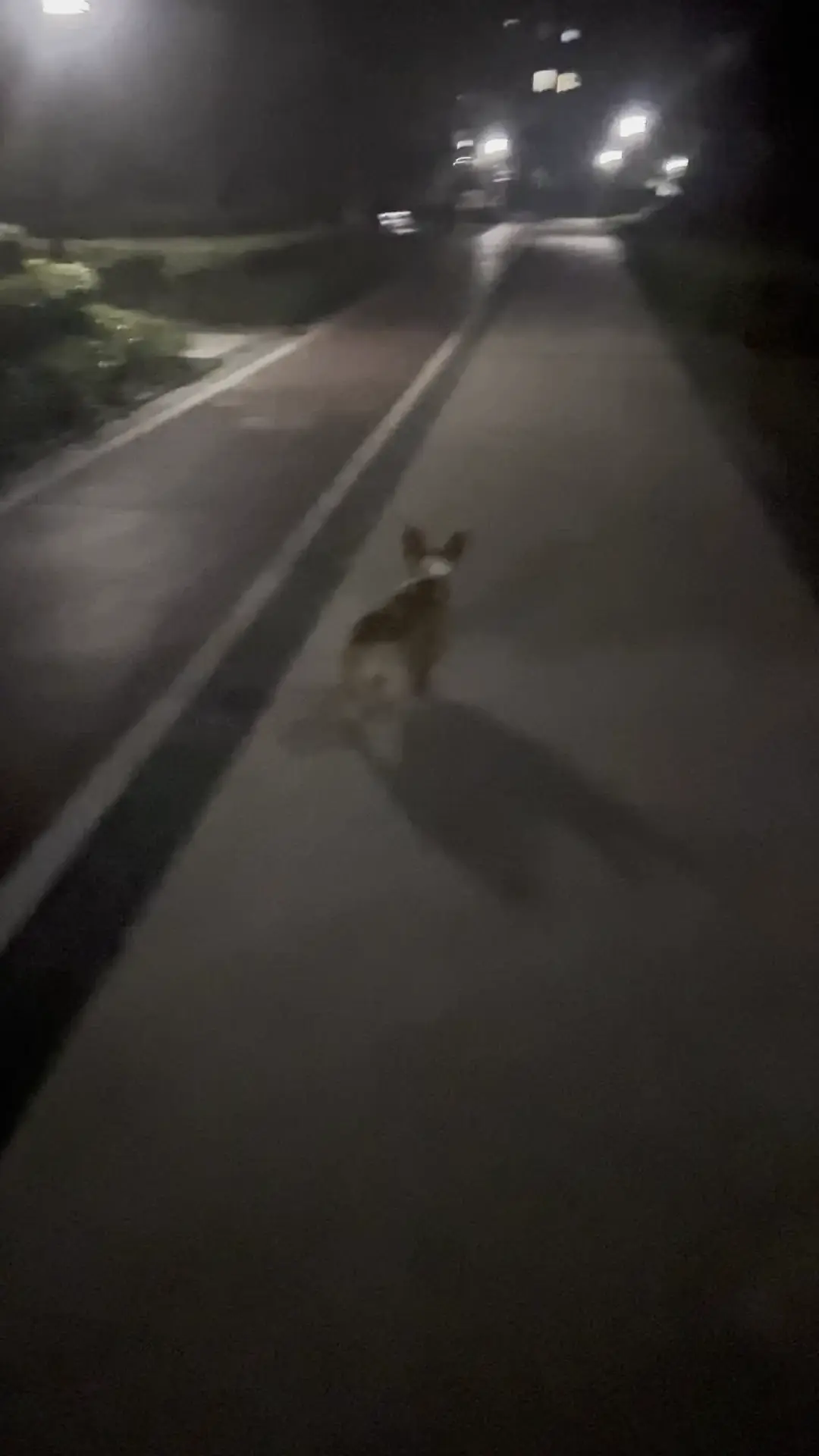 谁家好人半夜不睡觉出