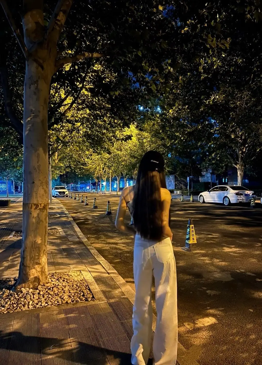 夏至🌸加油播主播图片