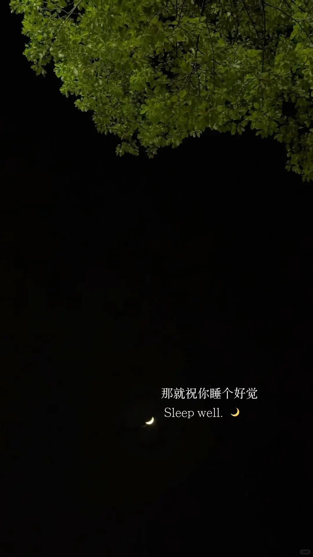 哆啦哆啦。。主播图片