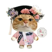 新人笙笙