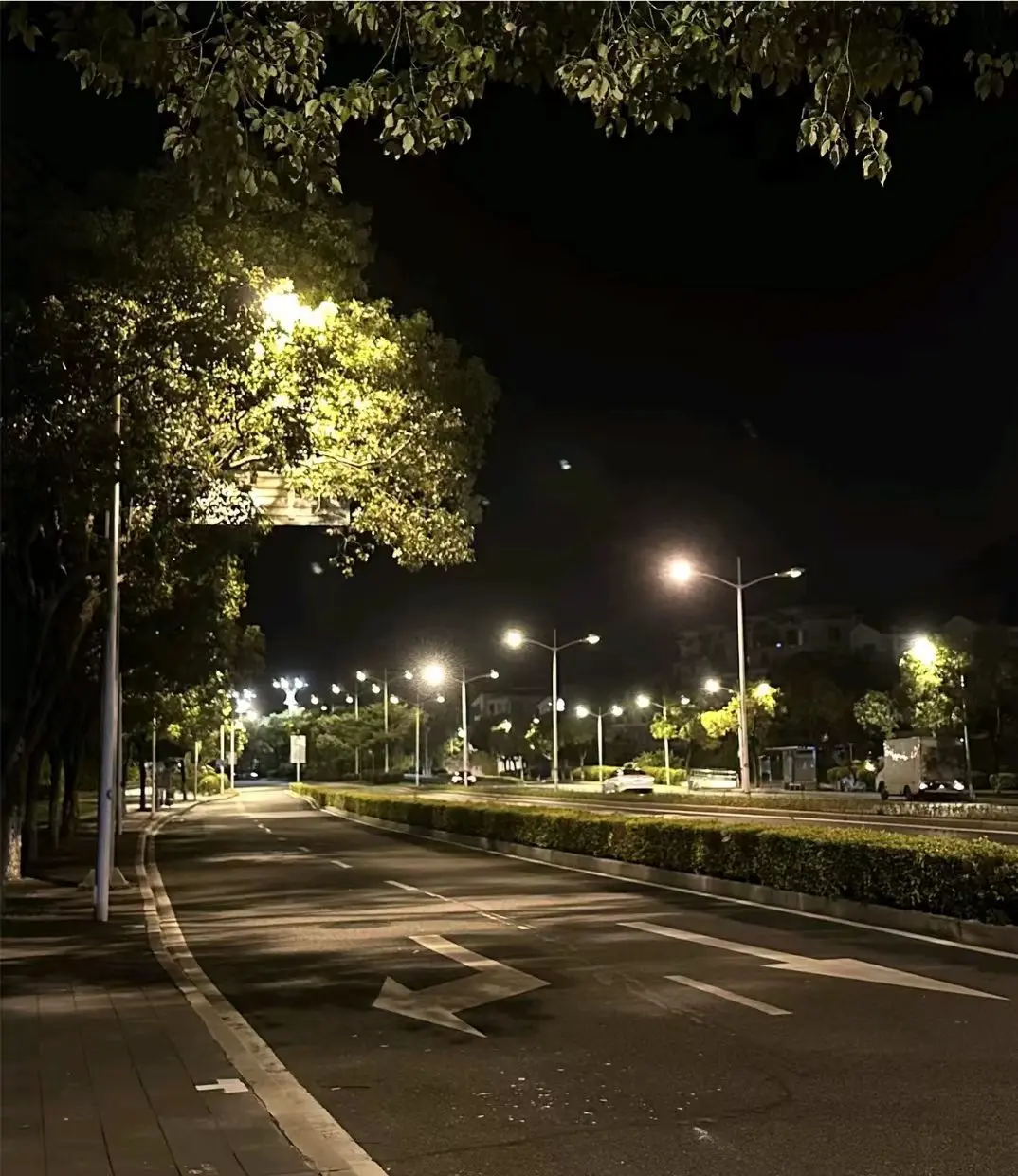 萌新白小糖主播图片