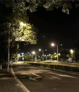 萌新白小糖的图片