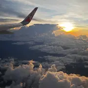 自由翱翔~~