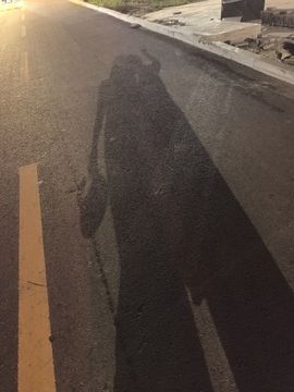 墨冄九九的图片
