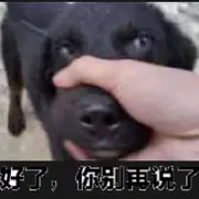 🐉龙🐉歌🐉