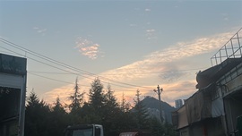 好运兔兔的图片