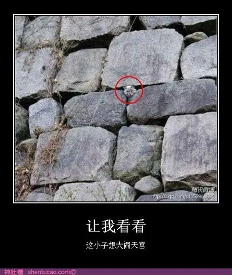 无声沉默的主播照片