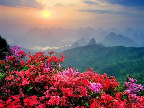 月芽姐姐Q的主播照片