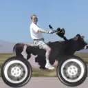 〓疯狂哥〓